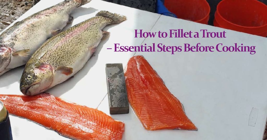 How to Fillet a Trout