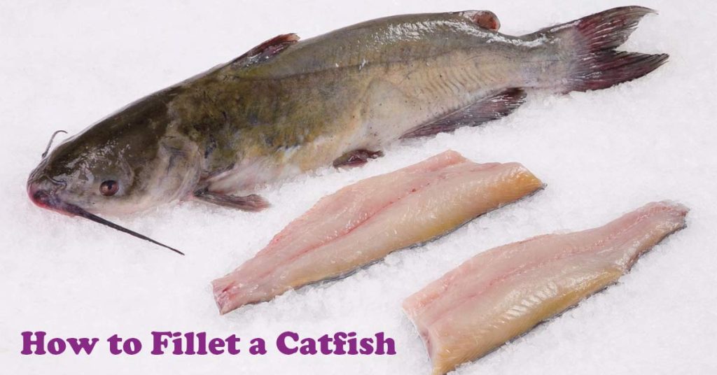 how to fillet a catfish