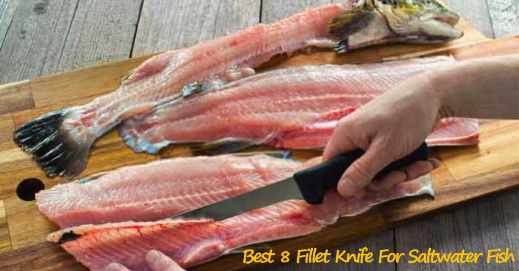 Best Fillet Knife for Saltwater Fish