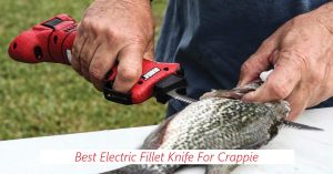 Best Fillet Knife For Crappie