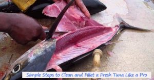 How to Fillet a Tuna