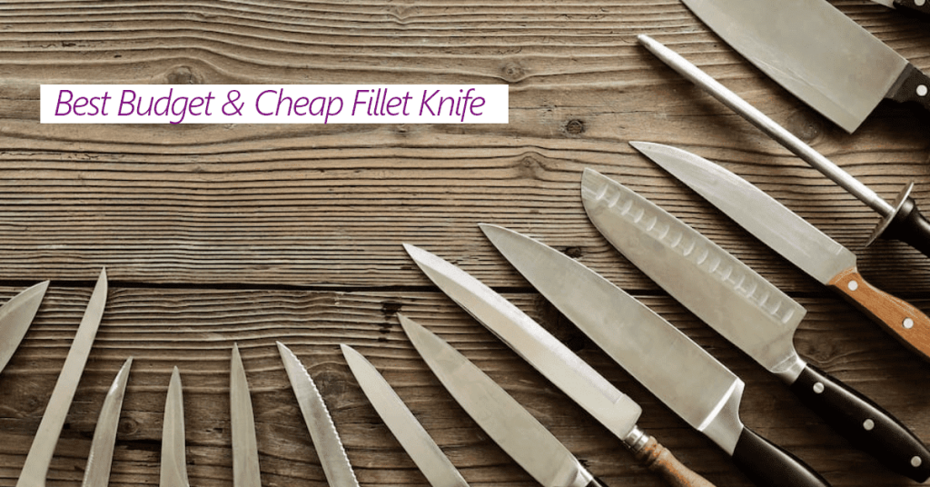 Best Budget Fillet Knife