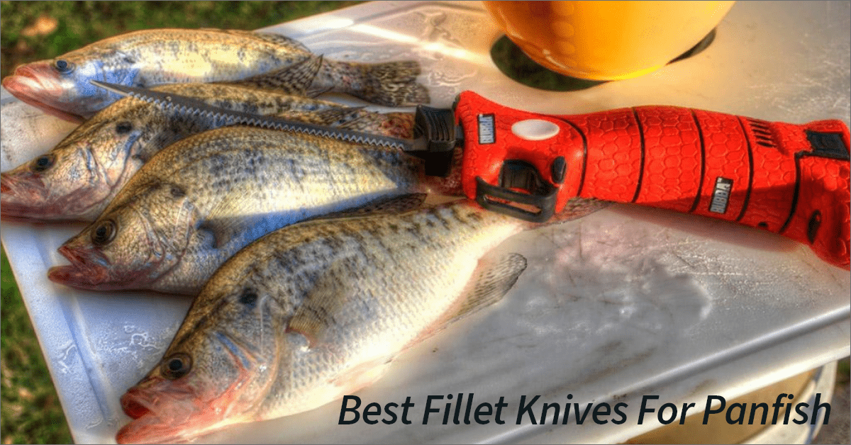 Best Electric & Non Electric Fillet Knife For Panfish