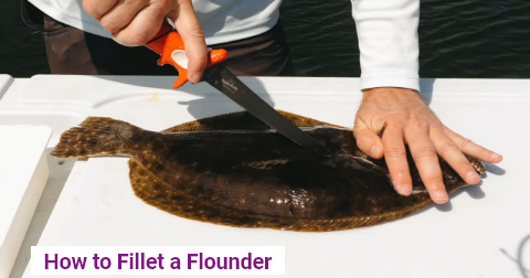 How to Fillet a Flounder