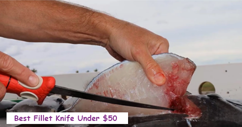 Best Fillet Knife under $50