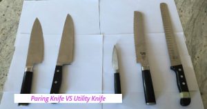 Paring Knife VS Utility Knife