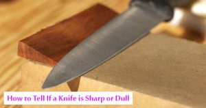 How to Tell If a Knife is Sharp or Dull