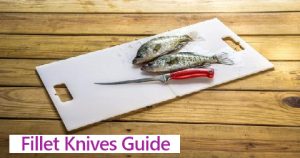Fillet Knives Guide