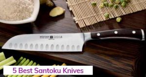 5-Best-Santoku-Knives